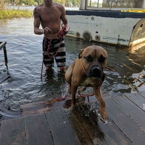 Meet your Posher, Lucas